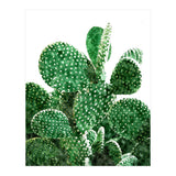 Velvet Cactus | Watercolor Botanical Plants | Minimal Boho Scandinavian Painting (Print Only) thumbnail