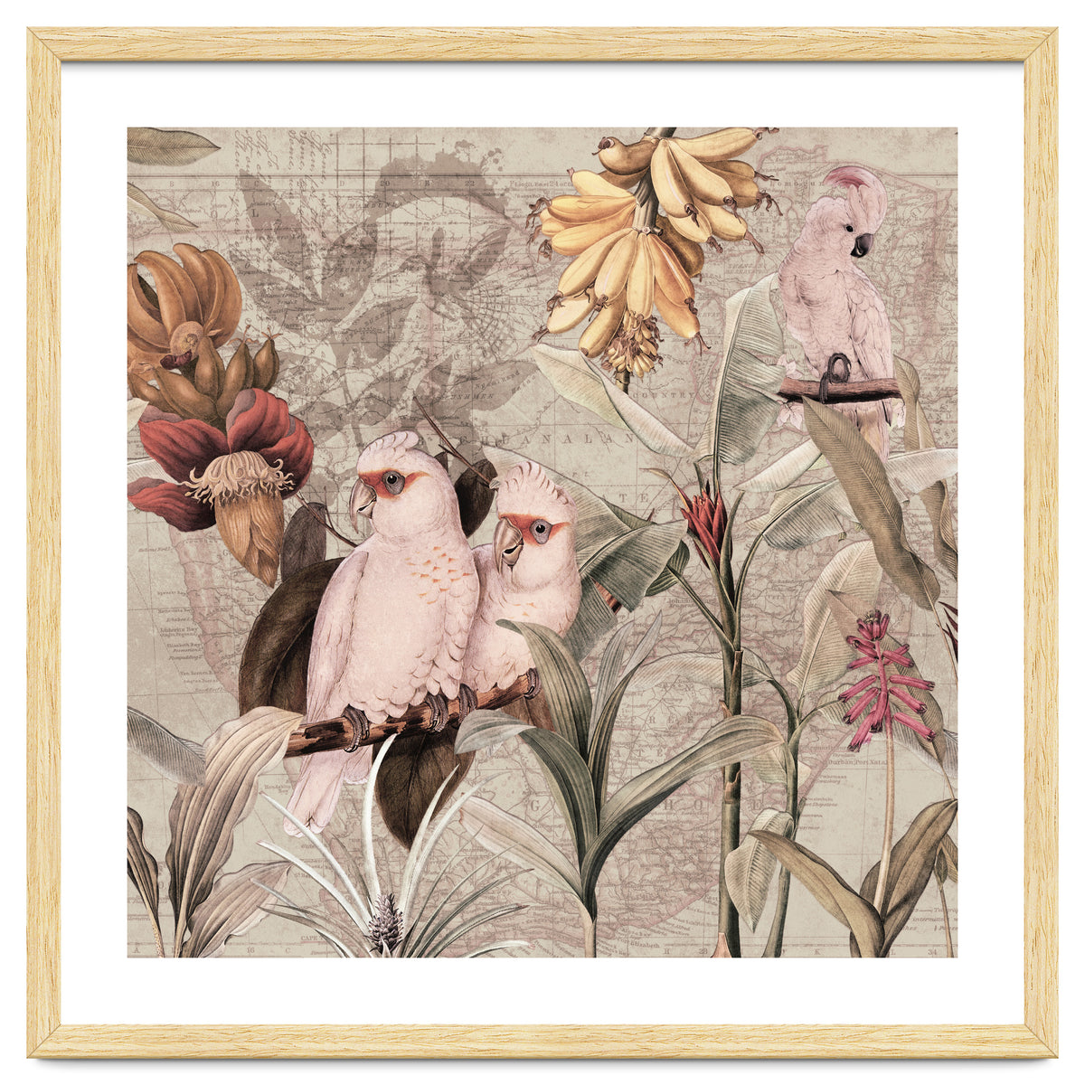 Cockatoo Exotic Bird Jungle