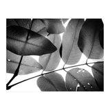 Branches and Leaves, 2016, 3 (Print Only) thumbnail