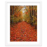 Lush Autumn Forest Path Covered thumbnail