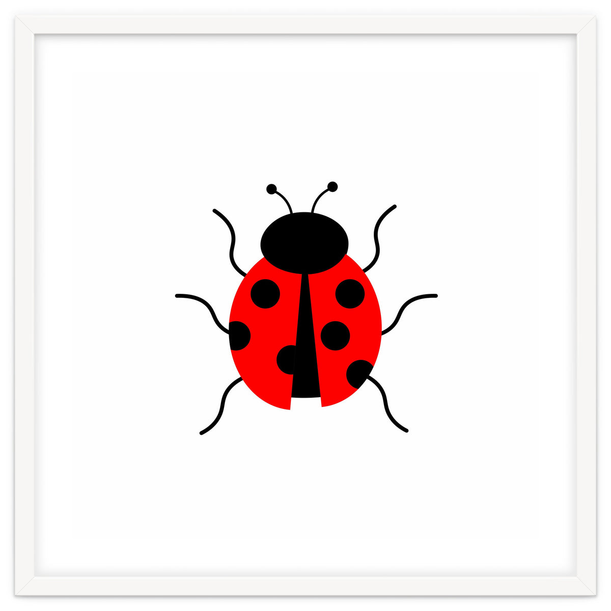 Lady Bug