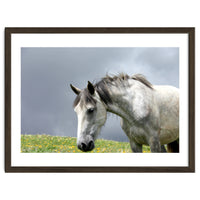 White Horse