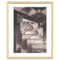 Evolving | Sepia