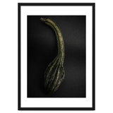 Gourds No 9 Color Version thumbnail