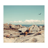 Rocky Formations (Print Only) thumbnail