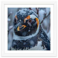 Penguin In Snow Falling Close Up Portrait