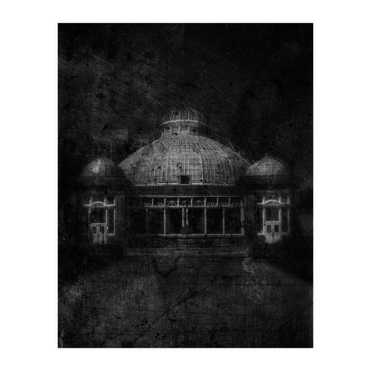 Allan Gardens Conservatory Palm House No 3 Old Film Version (Print Only)