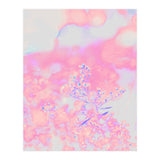 Chamomile (Print Only) thumbnail