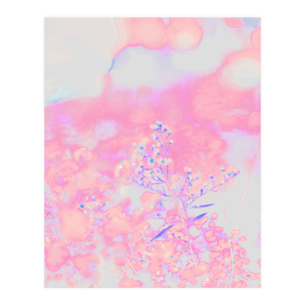 Chamomile (Print Only)