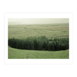 Small forest - Iceland (Print Only) thumbnail