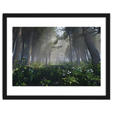 Art In The Forest thumbnail