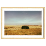 Dartmoor 2018 thumbnail