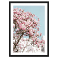 Spring Time