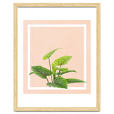 Botanical Art thumbnail