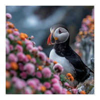Puffin Bird Among Colorful Wildflowers In Bloom (Print Only)