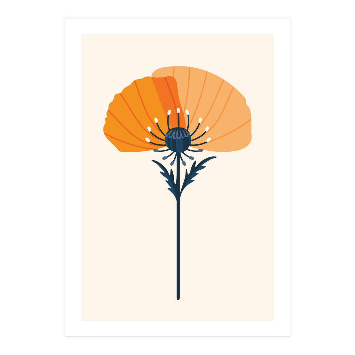 Orange Half Poppy (Print Only)