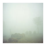 Silence of breath - 03 (Print Only) thumbnail