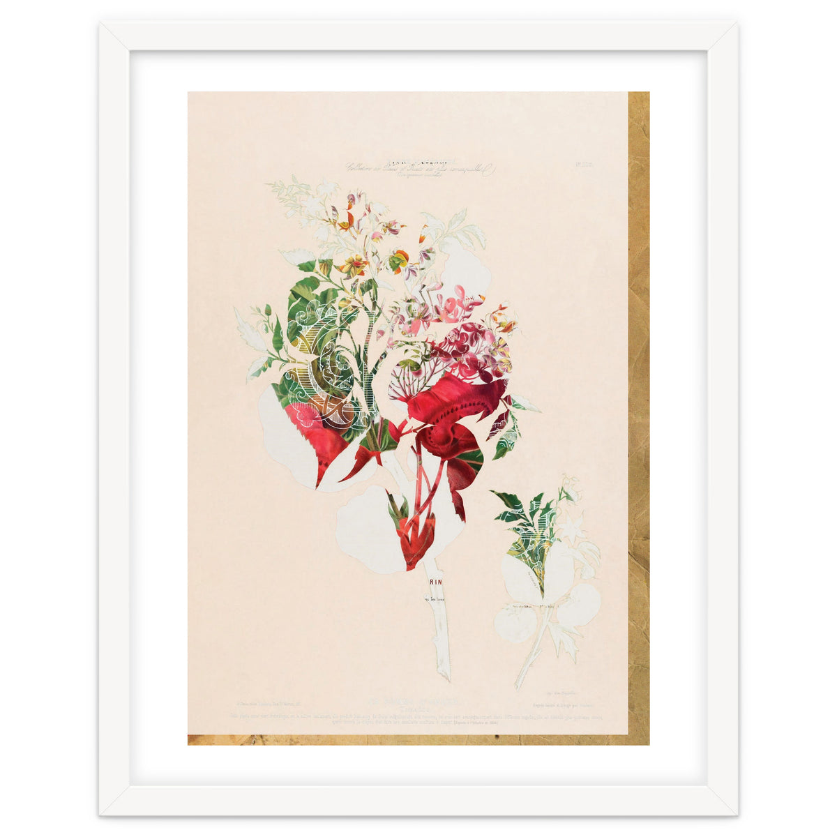 The First Plant · Aufbluehen