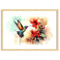 Dance Of Hummingbird And Crimson Flowers
