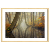 Bent trees in autumn thumbnail