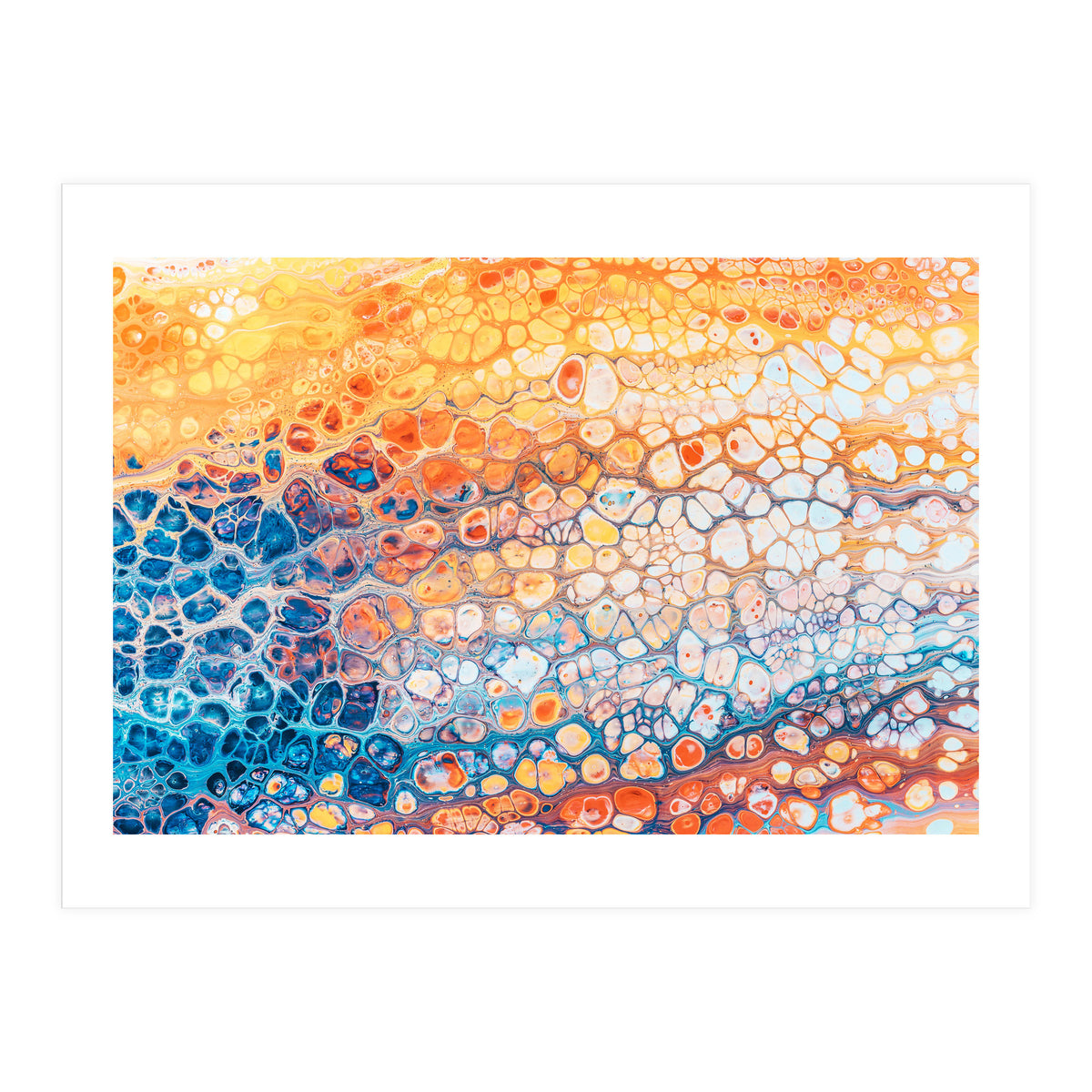 The Bright Side (Print Only)