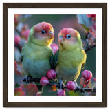 Two Lovebirds On A Branch Surrounded By Berries thumbnail