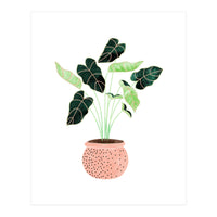 Home Plant | Ceramic Botanical Planter Illustration | Minimal Bohemian Watercolor Painting Polka Dot (Print Only)