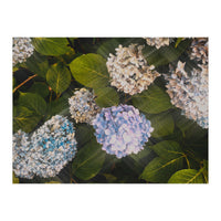 Hydrangeas | Landscape (Print Only)