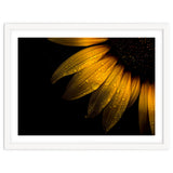 Backyard Flowers No 28 Sunflower thumbnail