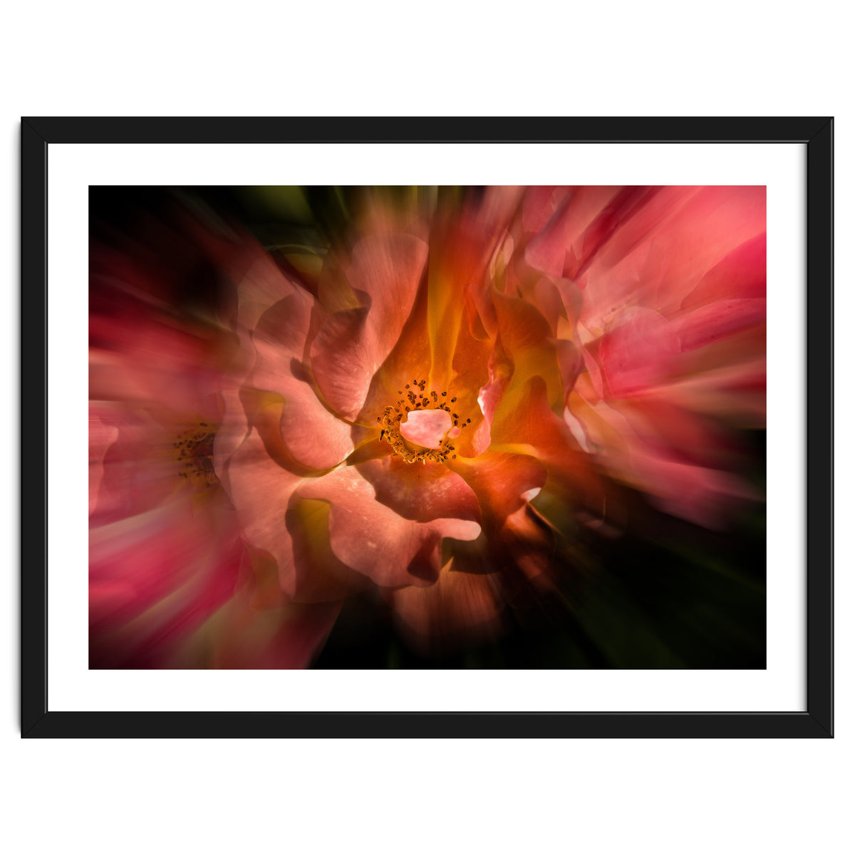 Backyard Flowers No 40 Color Flow Version