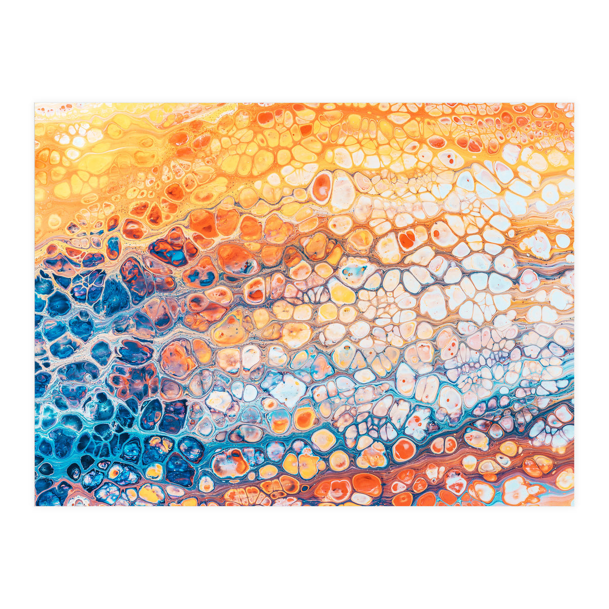 The Bright Side (Print Only)