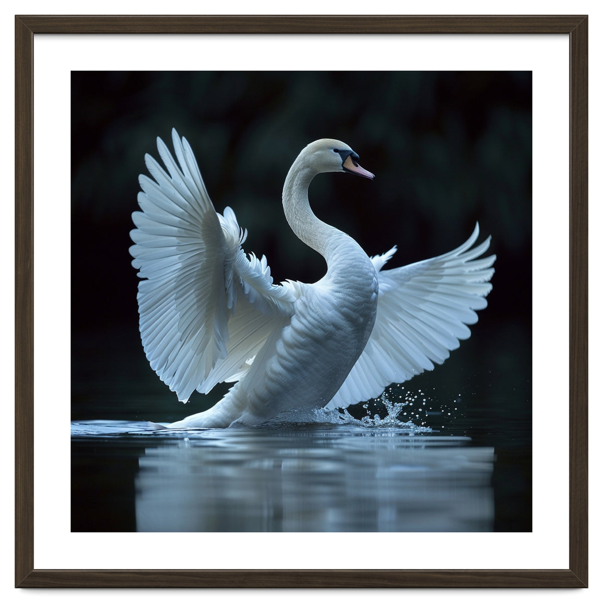 Majestic White Swan Spreading Wings On Water