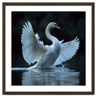 Majestic White Swan Spreading Wings On Water