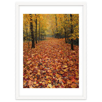 Ethereal Autumn Forest Path