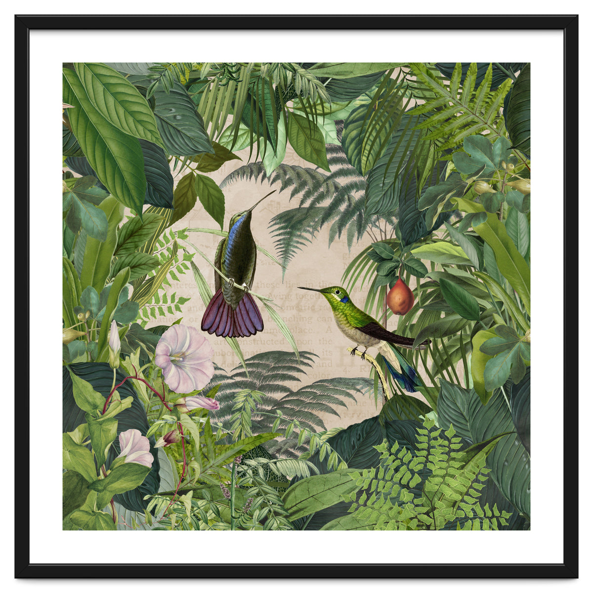 Tropical Hummingbird Jungle