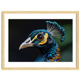 Close-up of a Peacock’s Head thumbnail