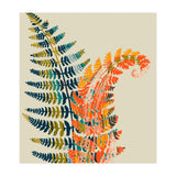 Colorful Fern Leaves (Print Only) thumbnail