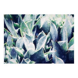 Cactus Garden (Print Only) thumbnail