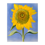 Georgia O’Keeffe – Sunflower, New Mexico (1935) | Bold Modernist Floral Painting Inspired by the American Southwest (Print Only) thumbnail