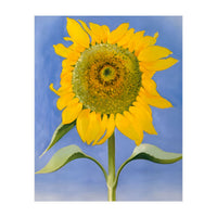 Georgia O’Keeffe – Sunflower, New Mexico (1935) | Bold Modernist Floral Painting Inspired by the American Southwest (Print Only)
