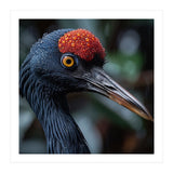 Black Crane Bird Head With Red Crown And Raindrops (Print Only) thumbnail