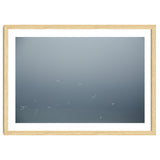 Flying Segulls in thet winter sky thumbnail