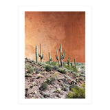 Rustic (Print Only) thumbnail