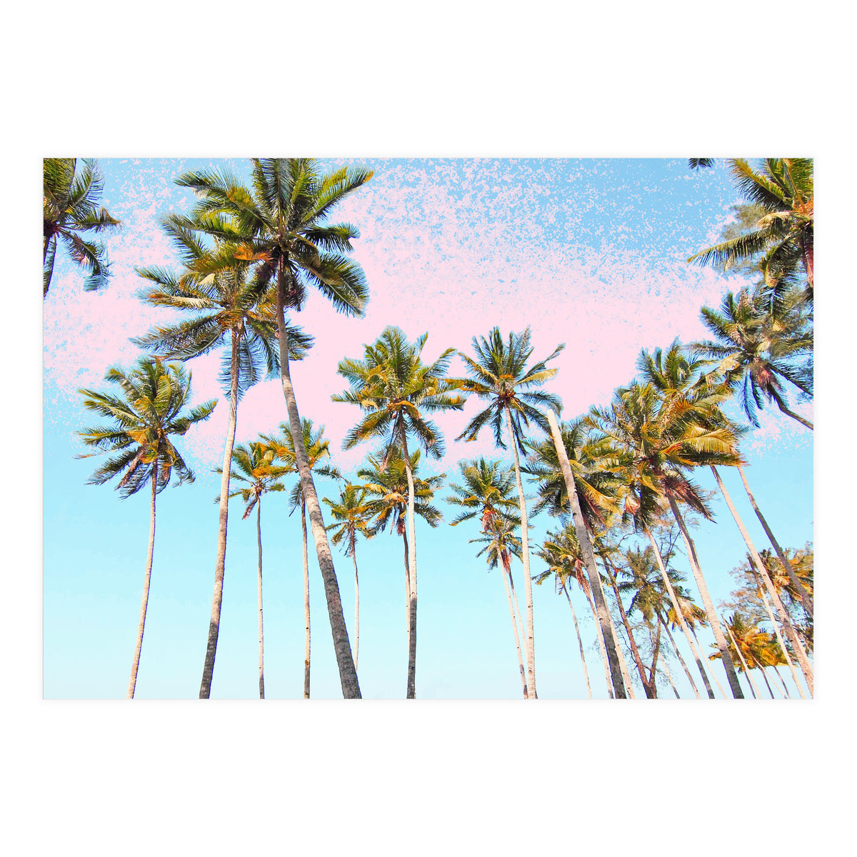 Coconut Palms #society6 #decor #buyart (Print Only)