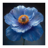 Meconopsis | Sapphire Serenade (Print Only) thumbnail