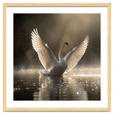 Graceful Swan Spreading Wings On Sparkling Water thumbnail
