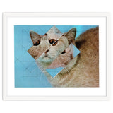 The Depressive Cat Am Abend Bekommt Den Blues thumbnail