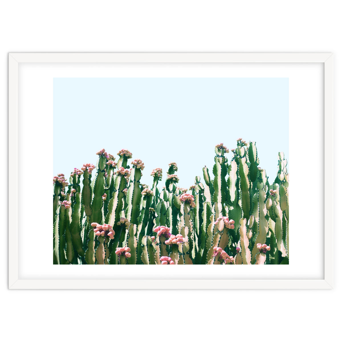 Blush Cactus #society6 #decor #buyart