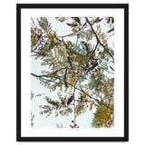 Patterns In Nature thumbnail