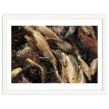 Fish01 thumbnail